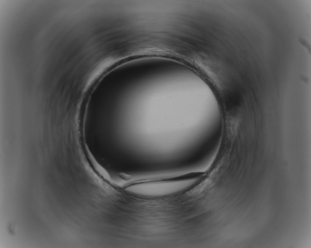 X0000092041422200709121145