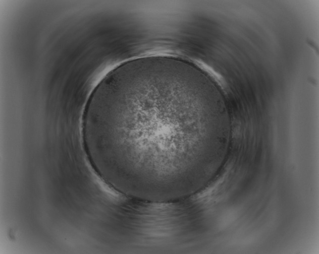 X0000092041423200709121145