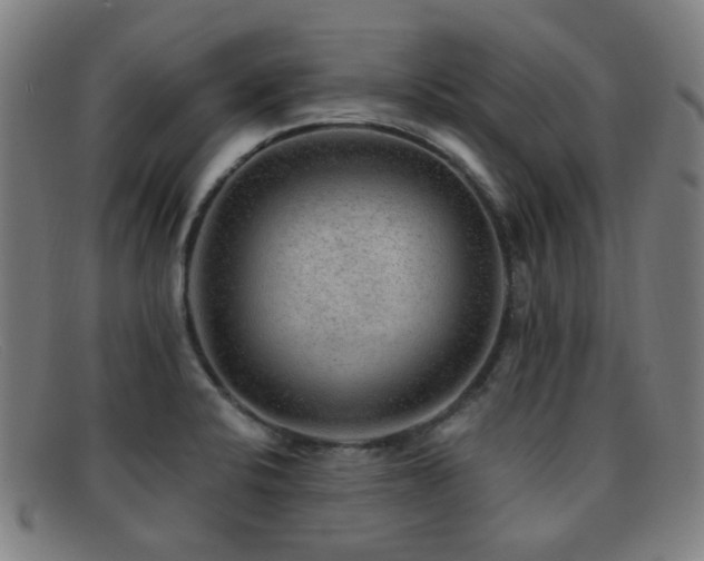 X0000092041424200709121145