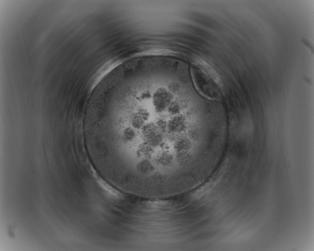 X0000092041425200709121145