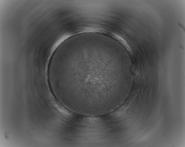 X0000092041427200709121145