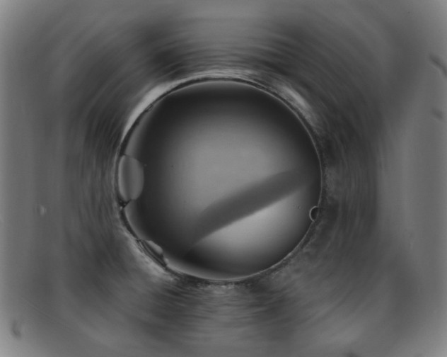 X0000092041428200709121145