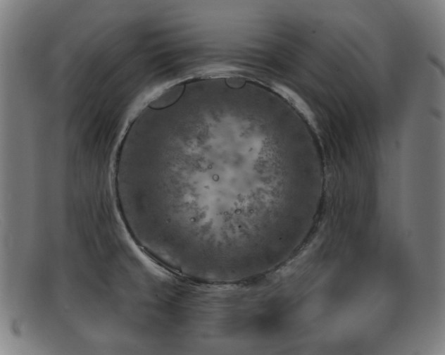 X0000092041429200709121145
