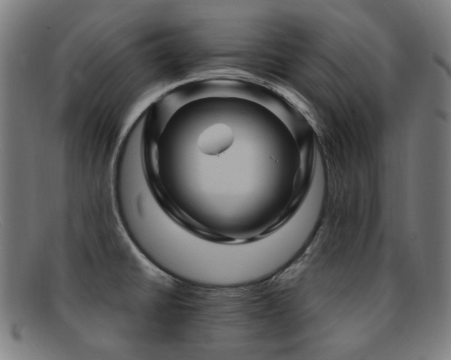 X0000092041430200709121145