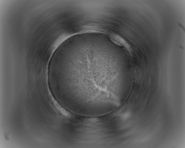 X0000092041431200709121145