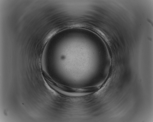 X0000092041433200709121145