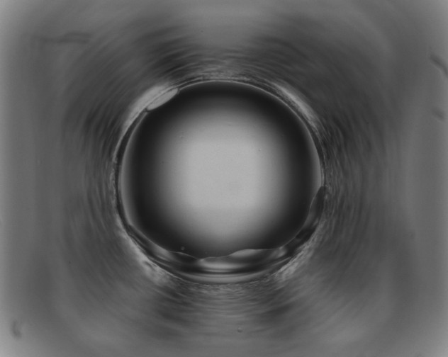 X0000092041434200709121145