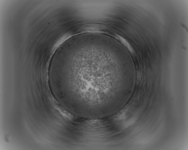X0000092041435200709121145