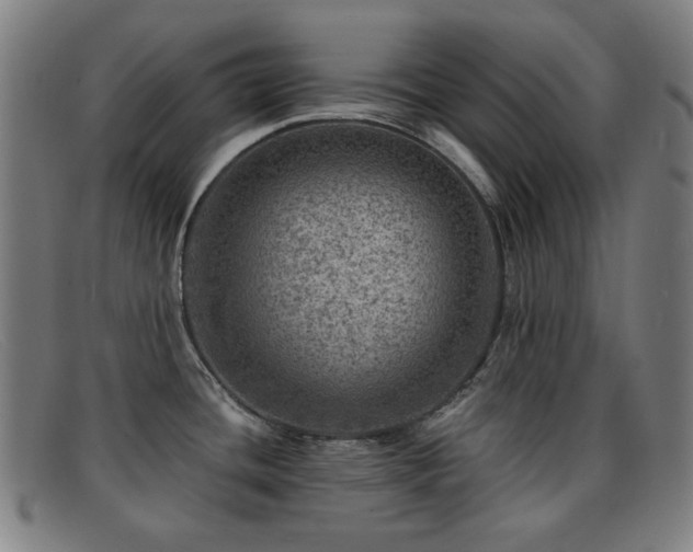 X0000092041436200709121145