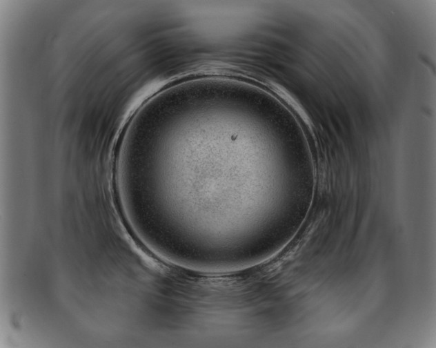 X0000092041437200709121145