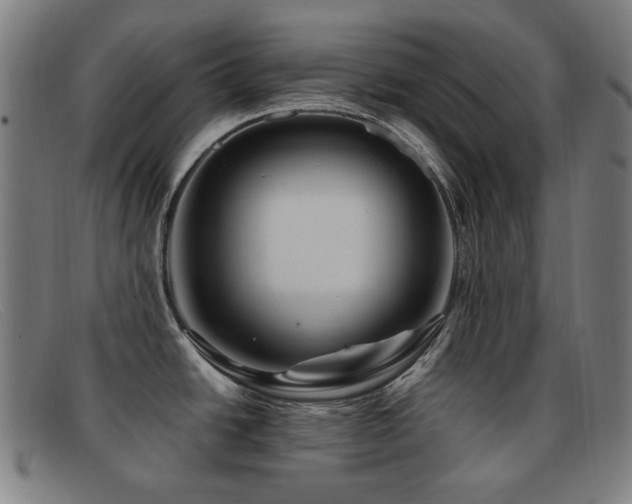 X0000092041438200709121145