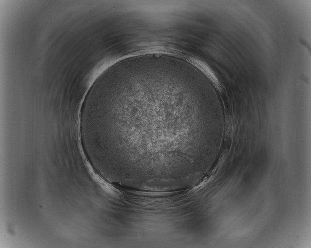 X0000092041439200709121145