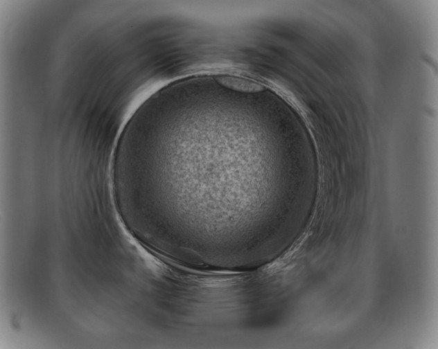 X0000092041440200709121145