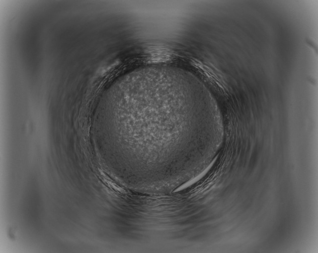 X0000092041441200709121144