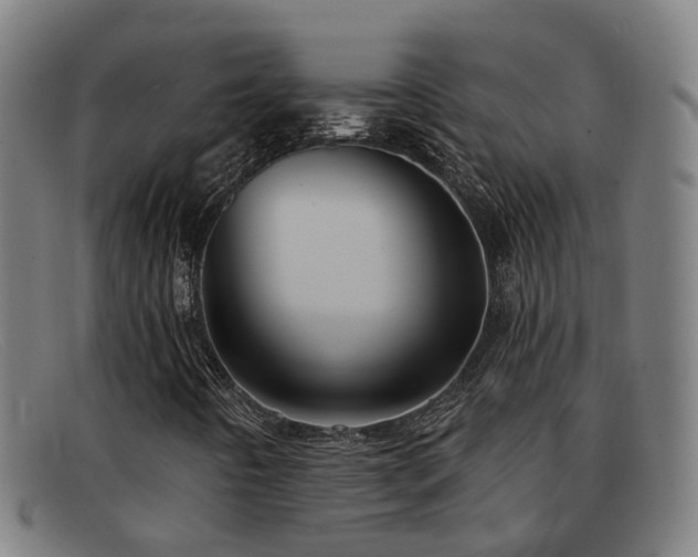 X0000092041442200709121144