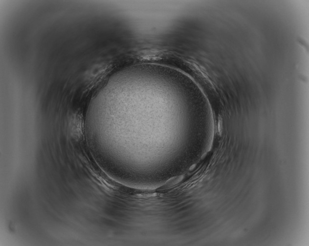 X0000092041444200709121144