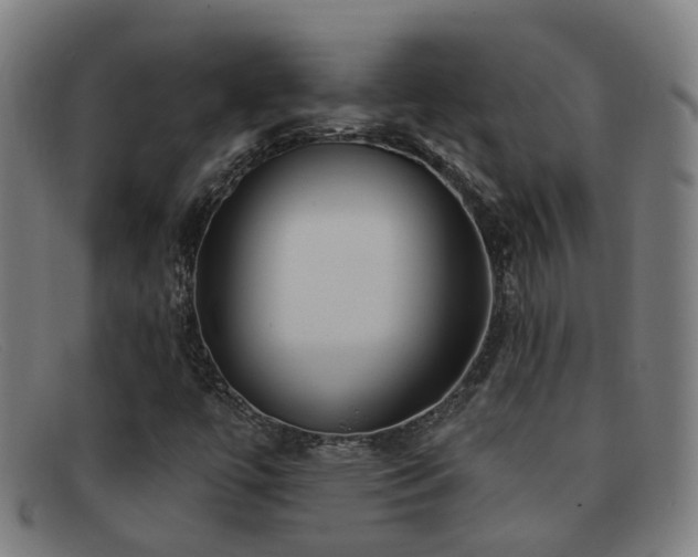 X0000092041447200709121144