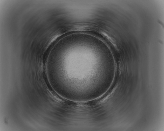 X0000092041449200709121144