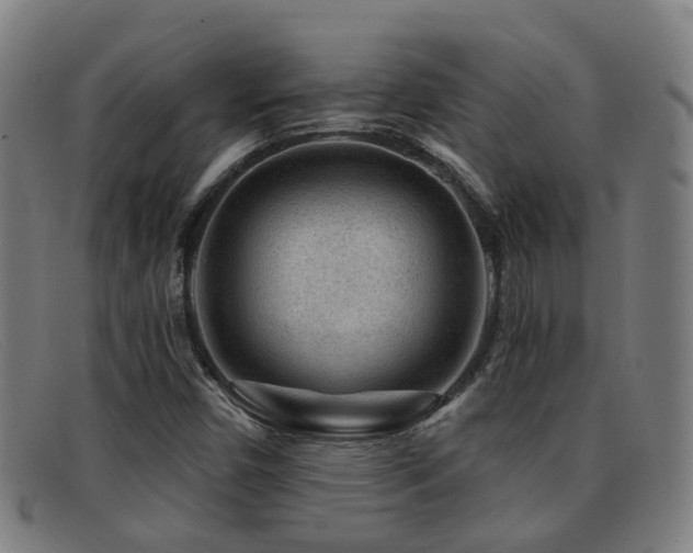X0000092041450200709121144