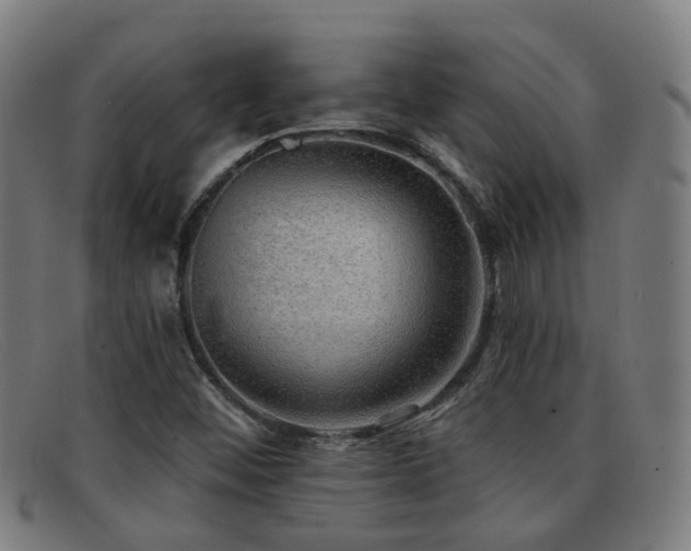 X0000092041452200709121144