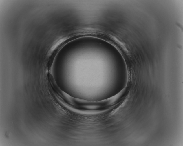 X0000092041453200709121144