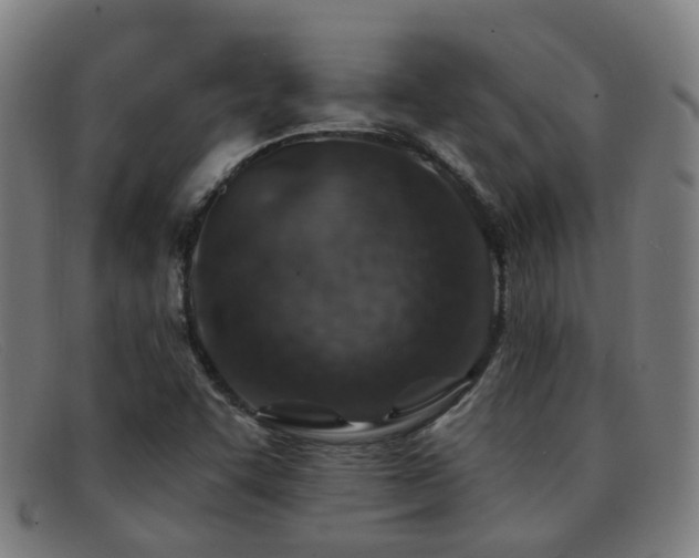 X0000092041455200709121144