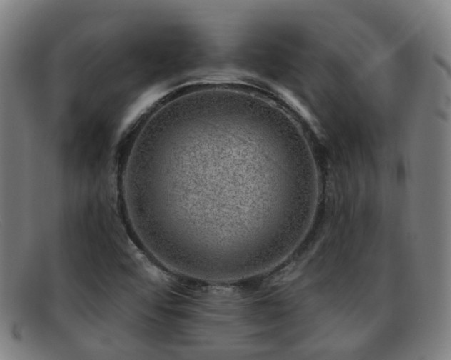 X0000092041456200709121144