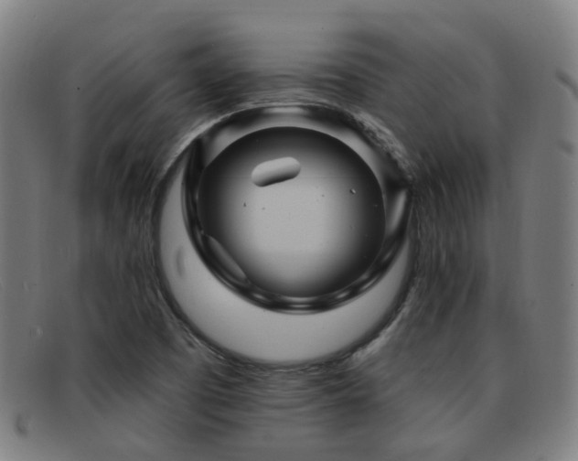 X0000092041457200709121144