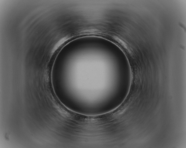X0000092041458200709121144