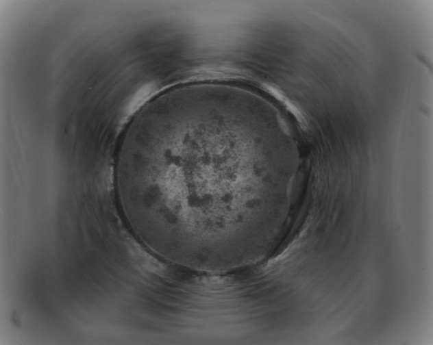 X0000092041459200709121144