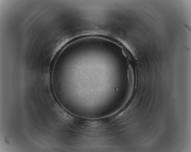 X0000092041460200709121144