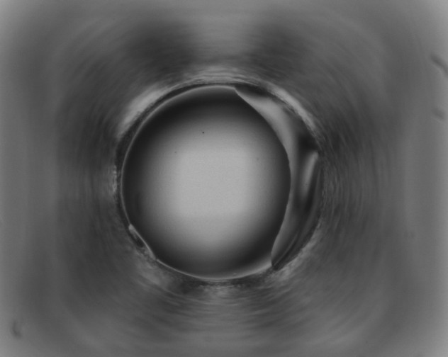 X0000092041461200709121144