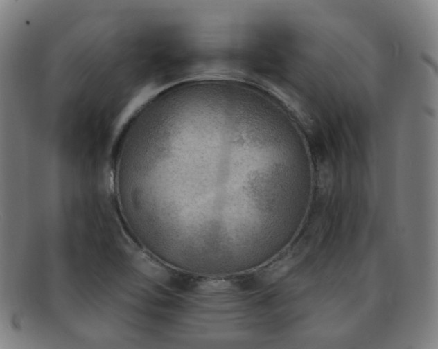 X0000092041462200709121144