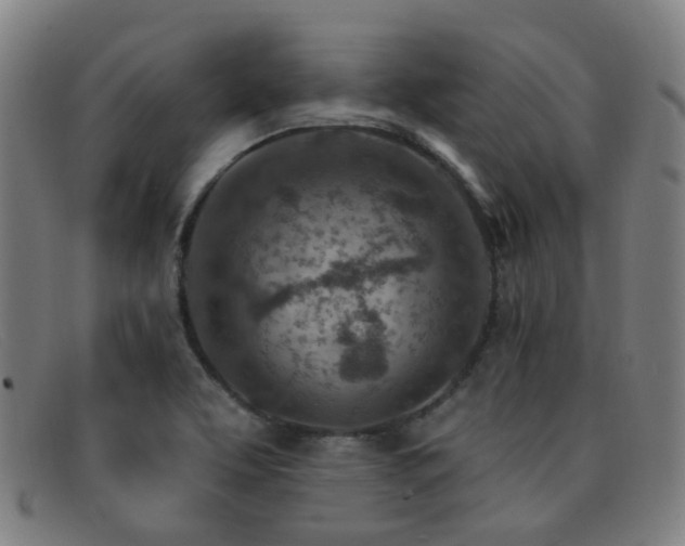 X0000092041463200709121144