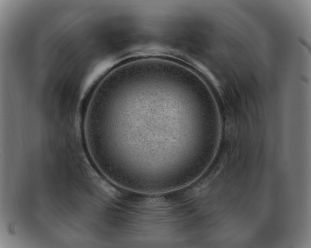 X0000092041464200709121144