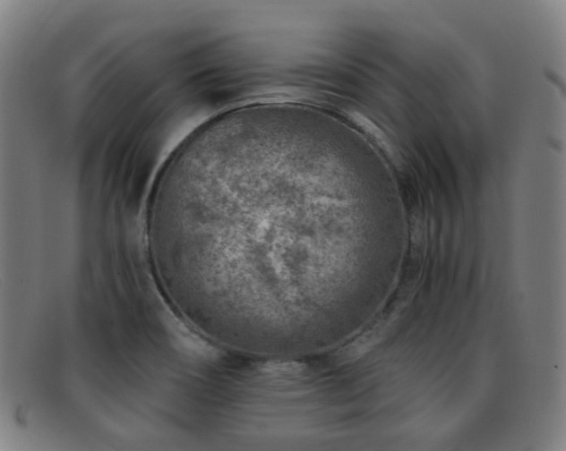 X0000092041466200709121144