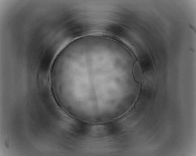 X0000092041467200709121144