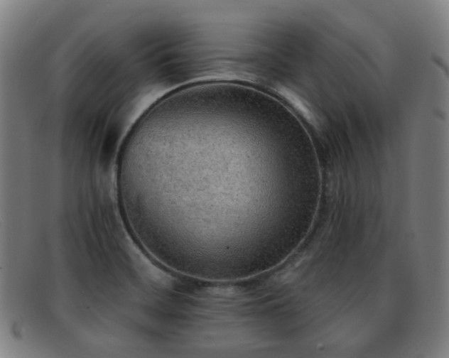 X0000092041468200709121144