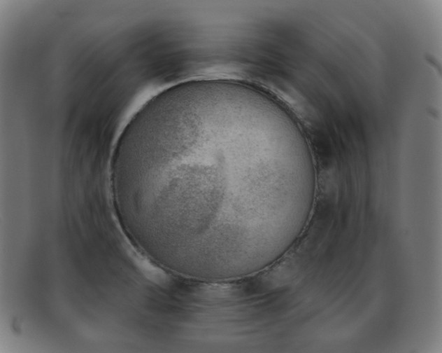 X0000092041470200709121144