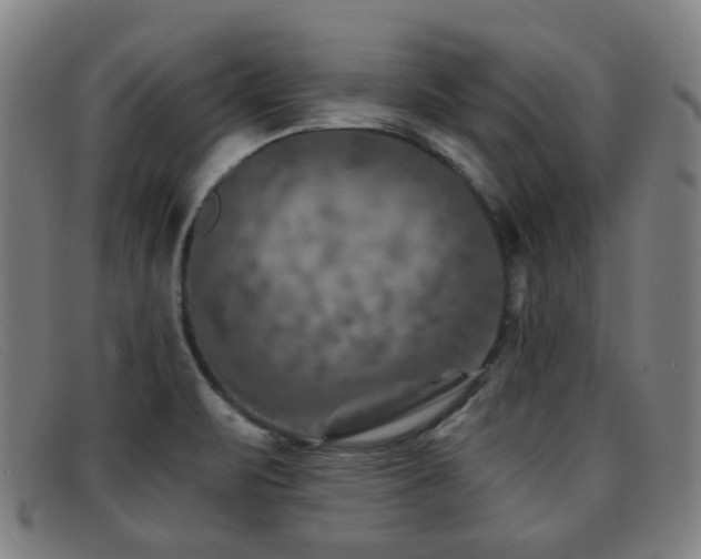 X0000092041471200709121144
