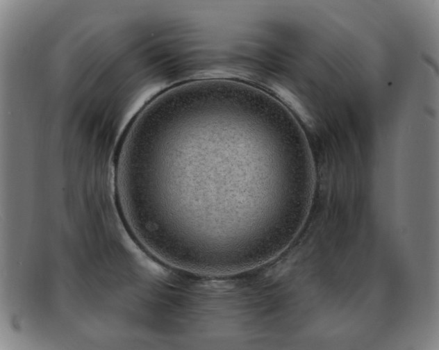 X0000092041476200709121144