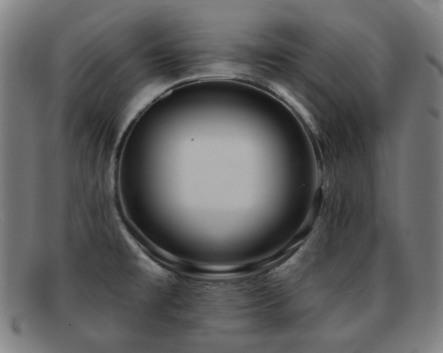 X0000092041477200709121144
