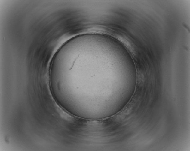 X0000092041478200709121144