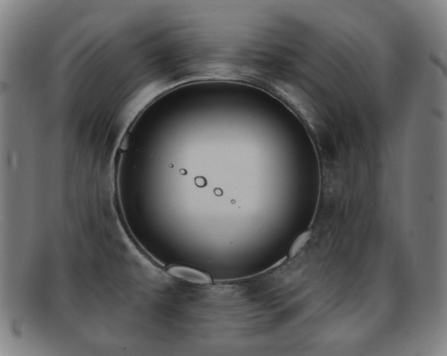 X0000092041479200709121144