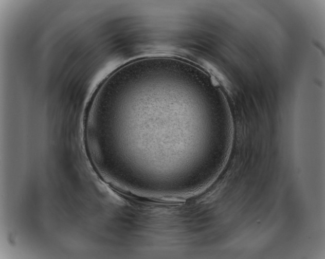 X0000092041480200709121144