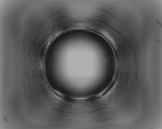 X0000092041481200709121144