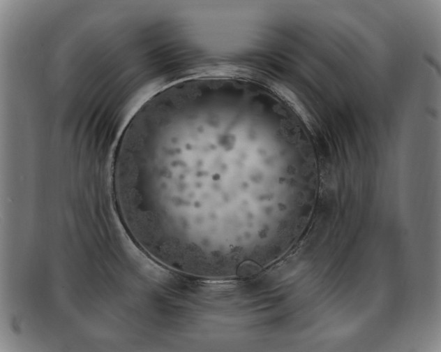 X0000092041483200709121144