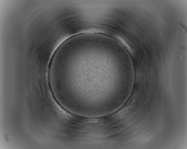 X0000092041484200709121144