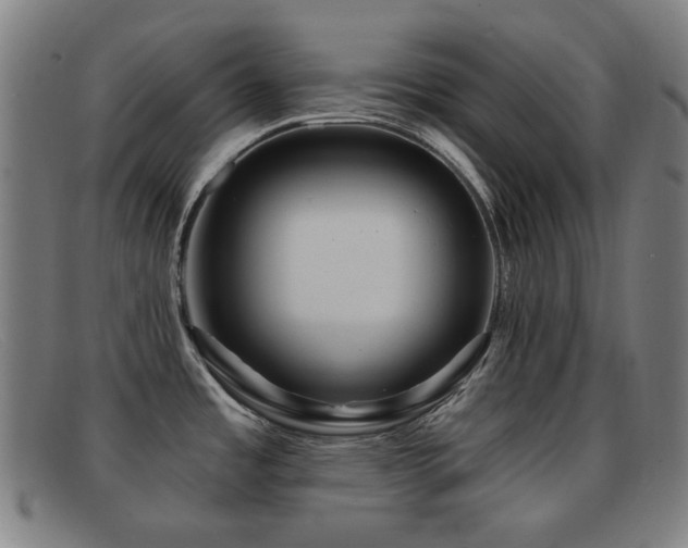 X0000092041485200709121144
