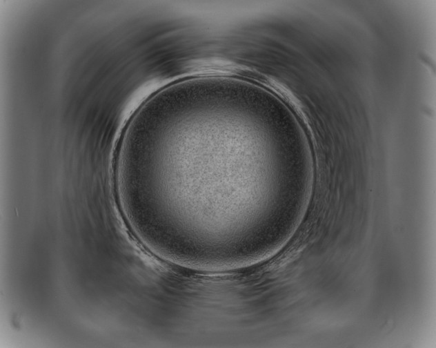 X0000092041488200709121144